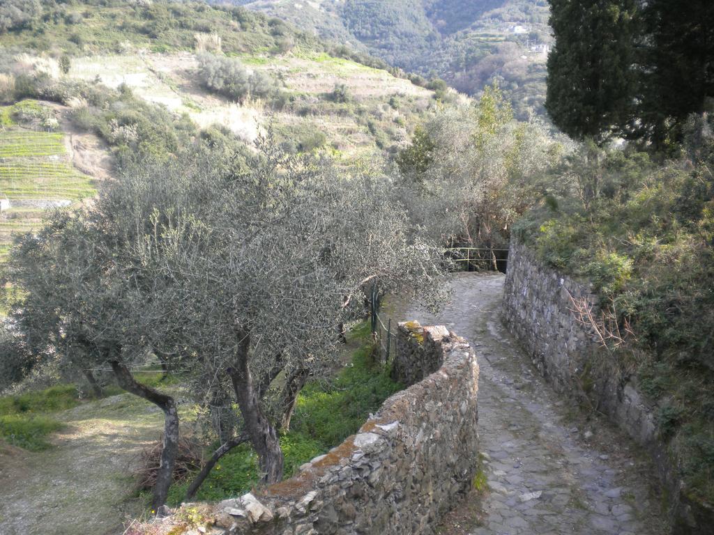 Marianna Quiet Rooms Μοντερόσο αλ Μάρε Εξωτερικό φωτογραφία